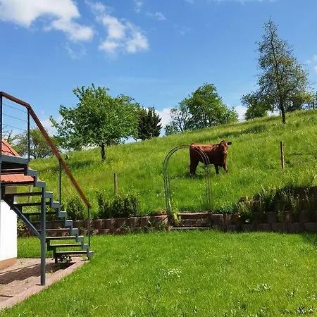 Apartamento Schmidt Airlenbach